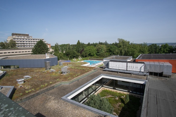 Rosengarten 6