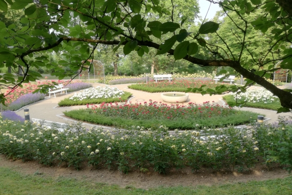 Rosengarten 14