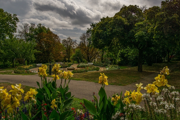 Rosengarten 15