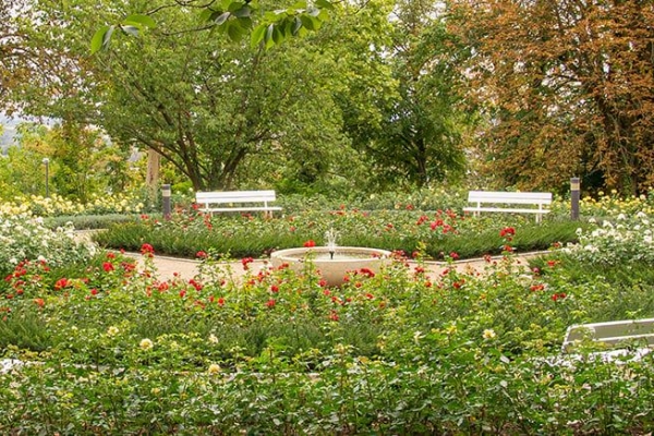 Hotel am Rosengarten